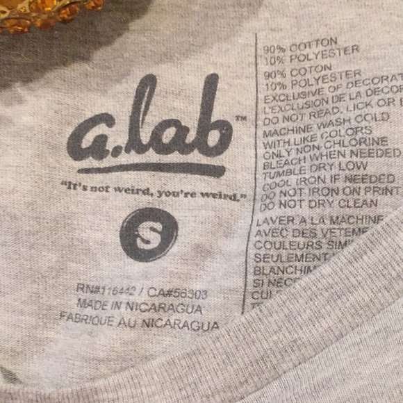 🍦🐱Gray Kitty in an Ice Cream Cone T🐱🍦 - Picture 4 of 5